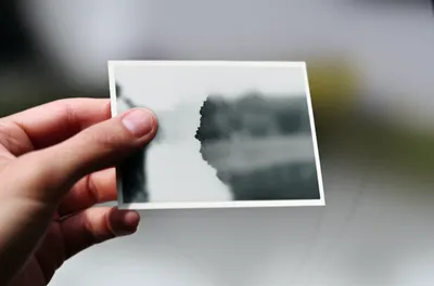 Illustration erasure - Image 2