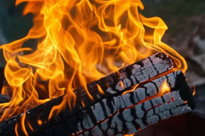 Illustration coal - Image 1