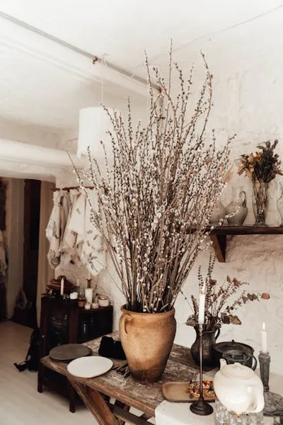 Illustration osier - Image 2