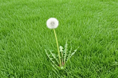 Illustration defied - Image 1