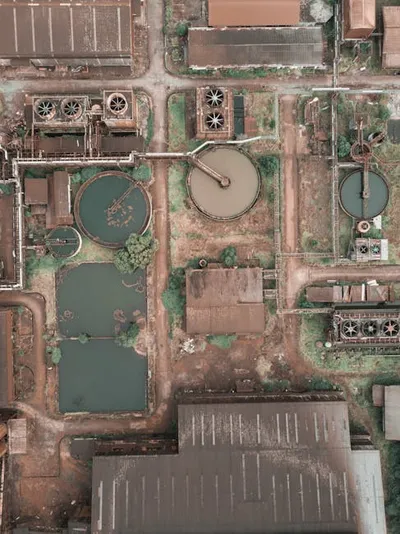 Illustration clarified - Image 2