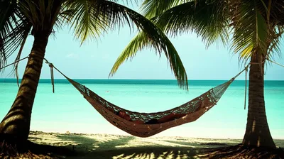 Illustration ease - Image 1