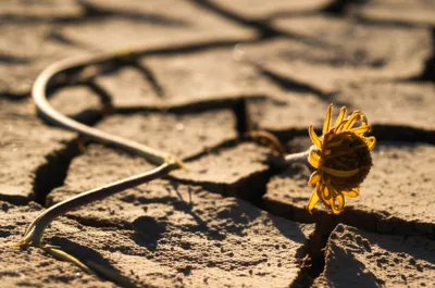 Illustration powerless