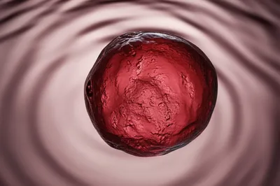 Illustration dot - Image 1