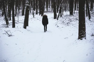 Illustration tracking - Image 1