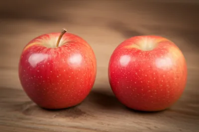 Illustration dead ringers - Image 1