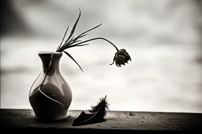 Illustration dead - Image 1