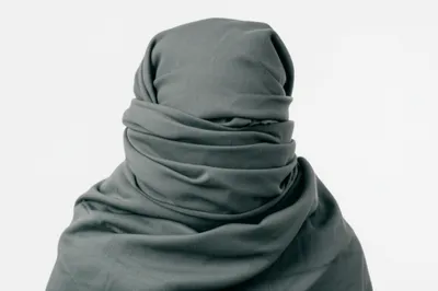 Illustration muffle - Image 1