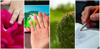 Illustration sensibilities - Image 1