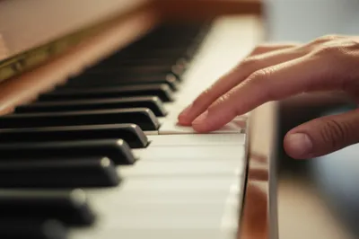 Illustration key - Image 1