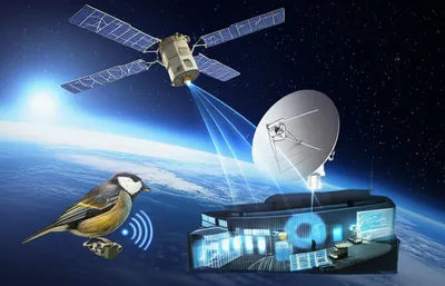 Illustration telemeter - Image 1