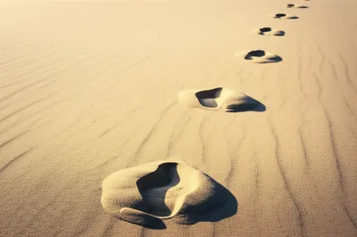 Illustration behind - Image 1