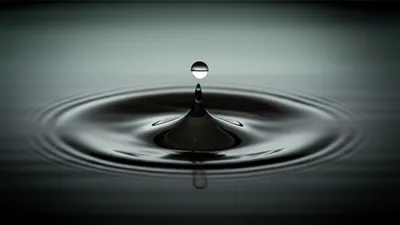 Illustration quick - Image 1