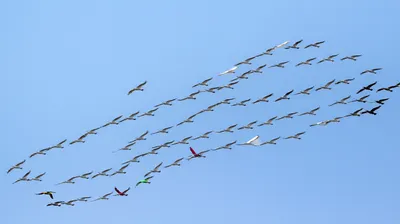 Illustration deviated - Image 1