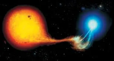 Illustration polar - Image 3