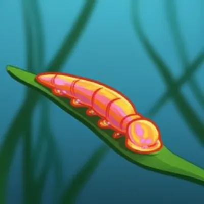 Illustration flatworms