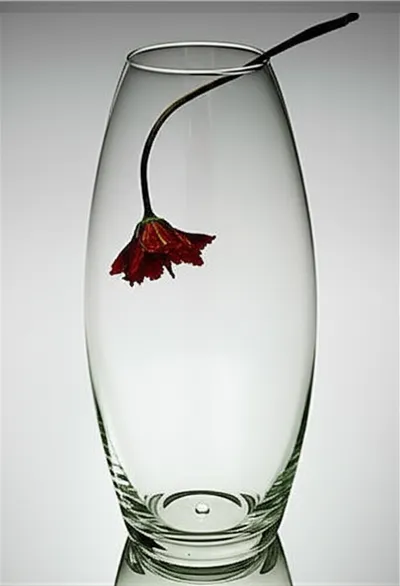 Illustration insufficiently