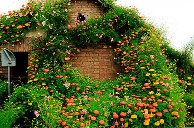 Illustration overgrowth - Image 1