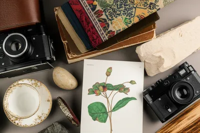 Illustration selection - Image 1