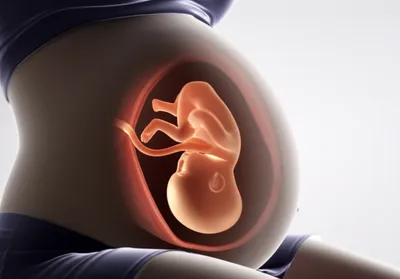 Illustration presentations - Image 1