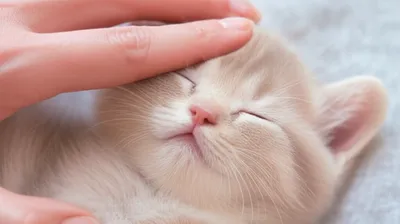 Illustration paddling - Image 1