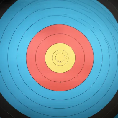 Illustration magpie - Image 1