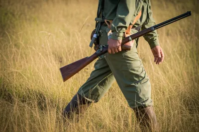 Illustration trailing - Image 1