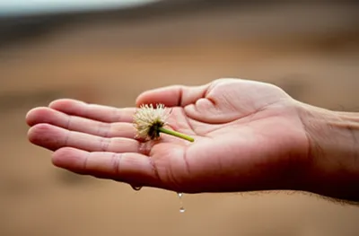 Illustration lenity - Image 1