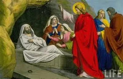 Hình ảnh minh họa animate - Ảnh 3