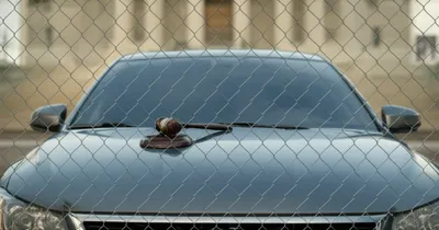 Illustration impounded - Image 1