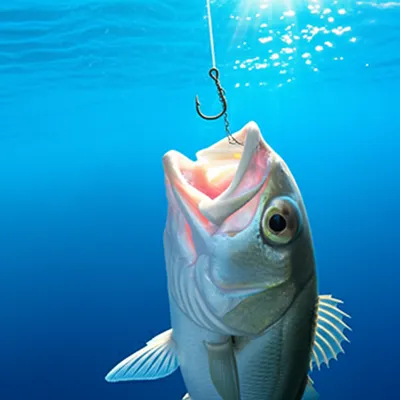 Illustration hooked - Image 1