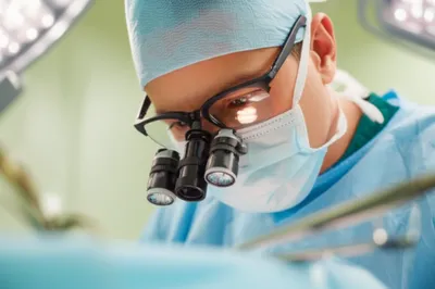 Illustration loupes - Image 1