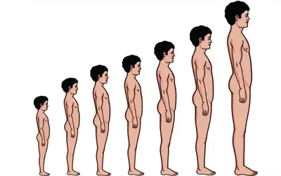 Illustration male - Image 1