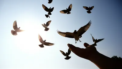 Illustration looses - Image 1