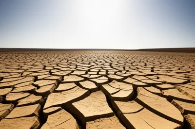 Illustration barren - Image 1