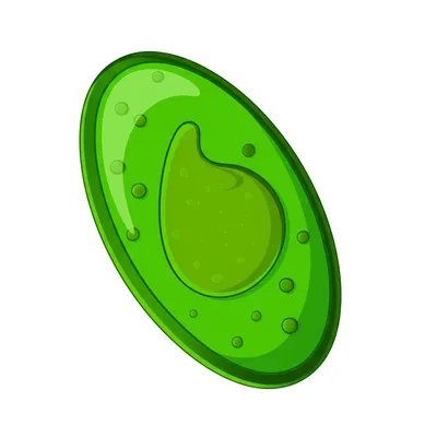 Illustration plant - Image 1