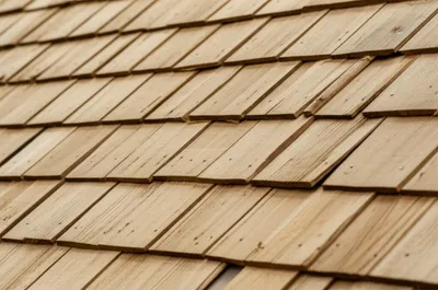 Illustration shakes - Image 1