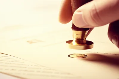 Illustration vouches - Image 1