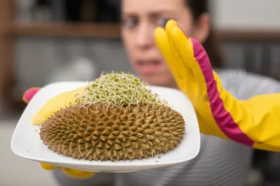 Illustration dislikes