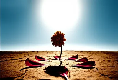 Illustration ceased - Image 1