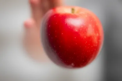 Illustration bracket - Image 1