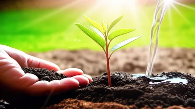 Illustration imped - Image 1