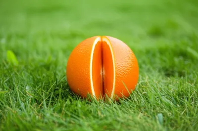 Illustration zone - Image 1