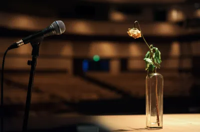 Illustration diss - Image 1