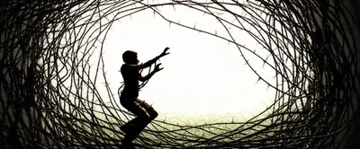 Illustration limitations - Image 1