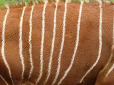 Illustration zone - Image 4