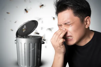 Illustration stink - Image 1