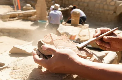 Illustration archaeologist