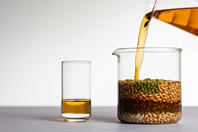 Illustration beer - Image 1