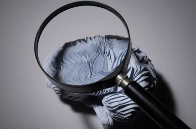 Illustration unpack - Image 1